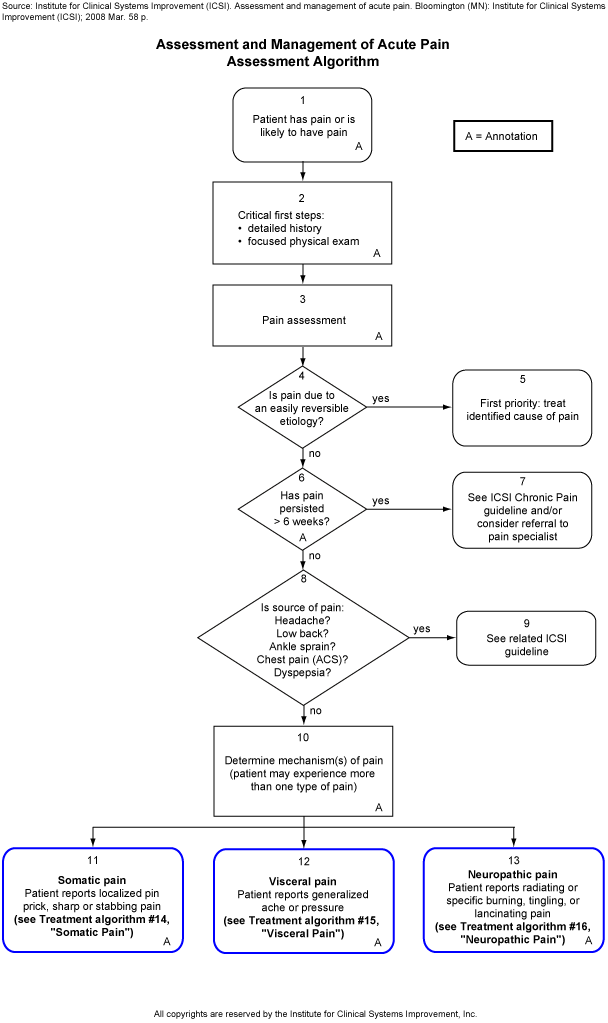 Assessment and Management of Acute Pain. Assessment Algorithm.