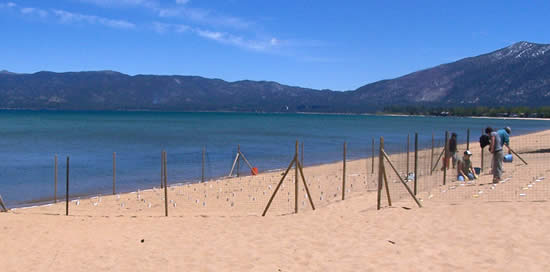 fenced area along the edge of Lake Tahoe.