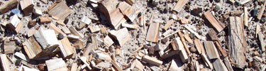 petrified wood scatter, Photo by Marge Post/NPS