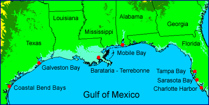 Programs in the Gulf of Mexico