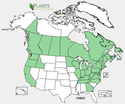 Map of the North America showing areas colored green where the species may be found.