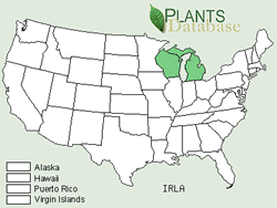 Map of the United States showing states. States are colored green where dwarf lake iris may be found.