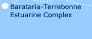 Barataria-Terrebonne Estuarine Complex