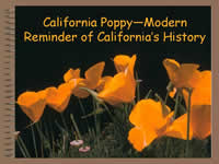 Title page of California Poppy - Modern Reminder of California's History.
