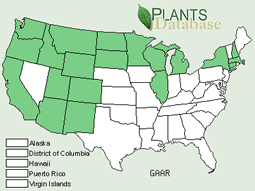 Map of the United States showing states. States are colored green where the blanketflower may be found.