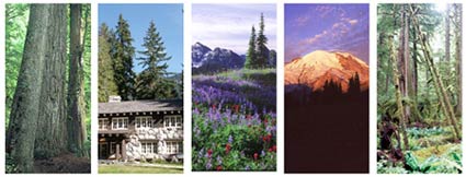 Five scenes of Mount Rainier National Park: old growth forest, a building in the historic district, a meadow in summer, the mountain at sunrise, and a temperate rainforest.
