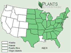 Map of the United States showing states. States are colored green where the red or eastern columbine may be found.