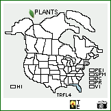 Distribution of Tripsacum floridanum Porter ex Vasey. . Image Available. 