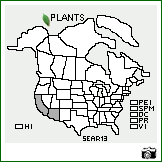 Distribution of Senna artemisioides (Gaudich. ex DC.) Randell. . Image Available. 