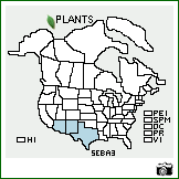 Distribution of Senna bauhinioides (A. Gray) Irwin & Barneby. . Image Available. 