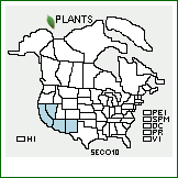 Distribution of Senna covesii (A. Gray) Irwin & Barneby. . 