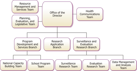 Division of Adolescent and School Health Organizational Chart.  Office of the Director includes Resource Management; Planning, Evaluation, and Legislation; Health Communications. There are three branches: 1) Research Applications Branch, 2) Program Development Branch which includes National Capacity; School Programs, and 3) Surveillance & Evaluation Branch which includes Surveillance Research; Evaluation Research; Data Management & Analysis.
