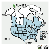 Distribution of Sambucus nigra L.. . Image Available. 