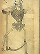 Persian Anatomies P20559a