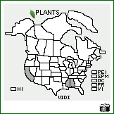 Distribution of Vicia disperma DC., nom. inq.. . Image Available. 