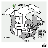 Distribution of Vicia hirsuta (L.) Gray. . Image Available. 
