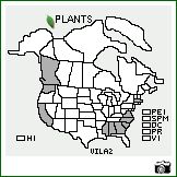 Distribution of Vicia lathyroides L.. . Image Available. 