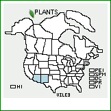 Distribution of Vicia leucophaea Greene. . 