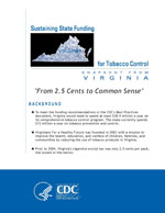 Sustaining State Funding for Tobacco Control