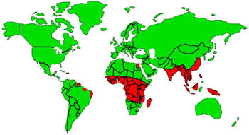 Geographic distribution of lymphatic filariasis