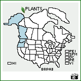 Distribution of Bromus pacificus Shear. . Image Available. 