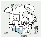 Distribution of Fraxinus greggii A. Gray. . 