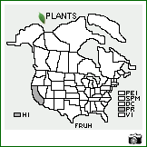 Distribution of Fraxinus uhdei (Wenzig) Lingelsh.. . Image Available. 