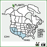 Distribution of Fraxinus velutina Torr.. . Image Available. 