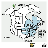 Distribution of Carex albursina Sheldon. . Image Available. 