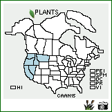 Distribution of Carex angustata Boott. . Image Available. 