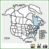 Distribution of Carex baileyi Britton. . Image Available. 