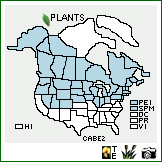 Distribution of Carex bebbii Olney ex Fernald. . Image Available. 