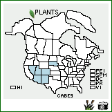 Distribution of Carex bella L.H. Bailey. . Image Available. 