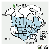 Distribution of Carex brevior (Dewey) Mack.. . Image Available. 