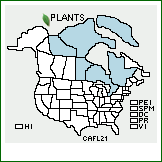 Distribution of Carex ×flavicans F. Nyl. [aquatilis var. stans × subspathacea]. . 