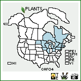 Distribution of Carex formosa Dewey. . Image Available. 