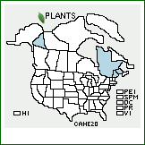 Distribution of Carex ×helvola Blytt (pro sp.) [canescens × lachenalii]. . 