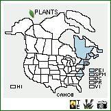 Distribution of Carex hormathodes Fernald. . Image Available. 