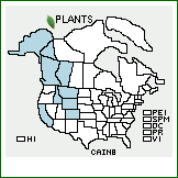 Distribution of Carex incurviformis Mack.. . 