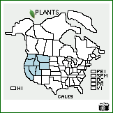 Distribution of Carex leporinella Mack.. . Image Available. 