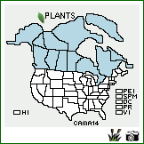 Distribution of Carex maritima Gunnerus. . Image Available. 