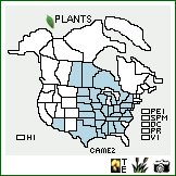 Distribution of Carex meadii Dewey. . Image Available. 