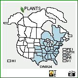 Distribution of Carex muehlenbergii Schkuhr ex Willd.. . Image Available. 