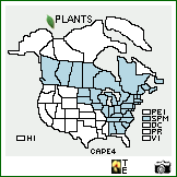 Distribution of Carex pedunculata Muhl. ex Willd.. . Image Available. 