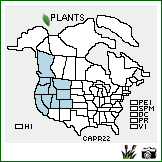 Distribution of Carex praeceptorum Mack.. . Image Available. 