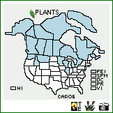 Distribution of Carex rostrata Stokes. . Image Available. 