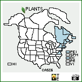 Distribution of Carex silicea Olney. . Image Available. 