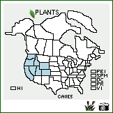 Distribution of Carex vernacula L.H. Bailey. . Image Available. 