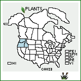 Distribution of Carex vicaria L.H. Bailey. . 