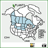 Distribution of Carex xerantica L.H. Bailey. . Image Available. 